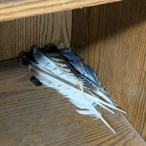 Meet your Posher, Brendan